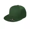Bottle green