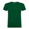 Bottle green