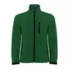 Bottle green