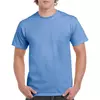 Carolina blue