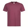 Burgundy Red(BGR)