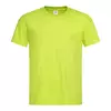 Brigth Lime(BLI)