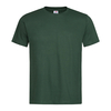 Bottle Green(BOG)