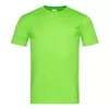 Kiwi Green(KIW)