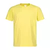 Yellow(YEL)