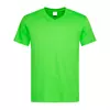Kiwi Green(KIW)