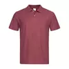 Burgundy Red(BGR)