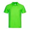 Kiwi Green(KIW)