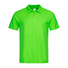 Kiwi Green(KIW)