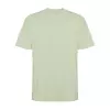 Mist green