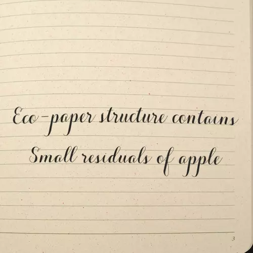 ЕКО записна книжка 'APPLE SKIN' А5 зі шкірки яблук гнучка 14